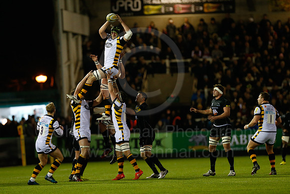 Falcons v Wasps_040_LC_8462