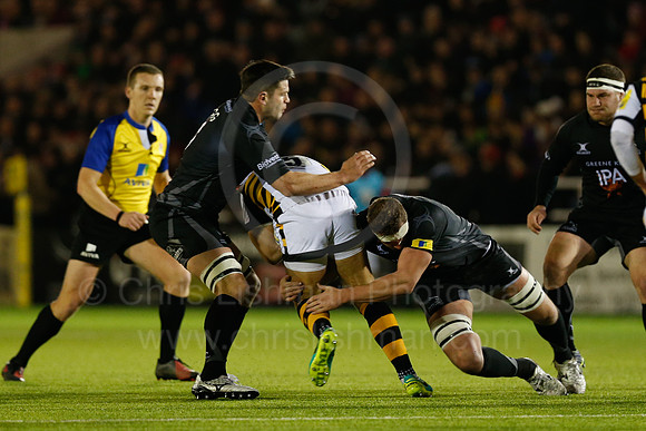 Falcons v Wasps_042_LC_8543