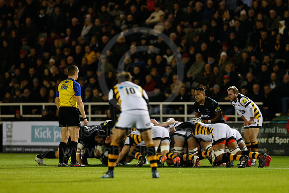 Falcons v Wasps_043_LC_8555