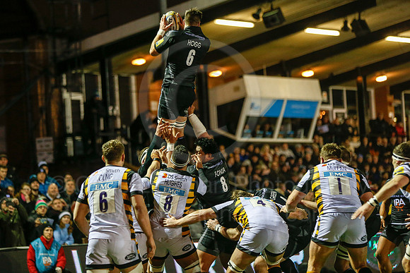 Falcons v Wasps_044_LA_7551