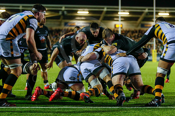 Falcons v Wasps_045_LA_7628