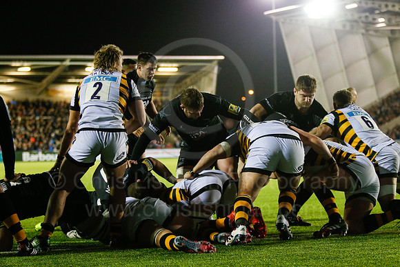 Falcons v Wasps_046_LA_7658