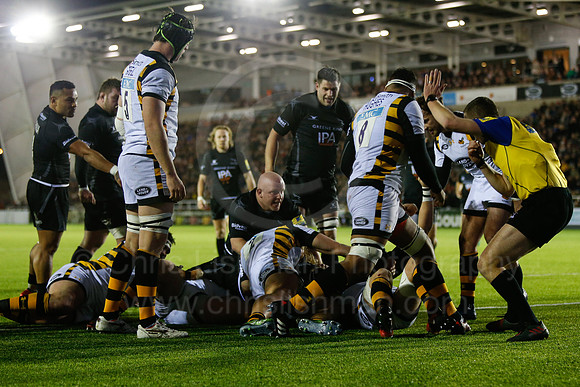 Falcons v Wasps_047_LA_7689