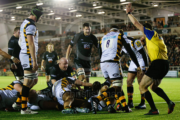 Falcons v Wasps_048_LA_7691