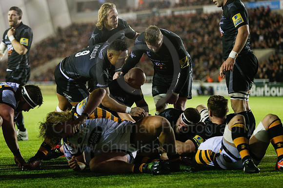 Falcons v Wasps_049_LA_7717