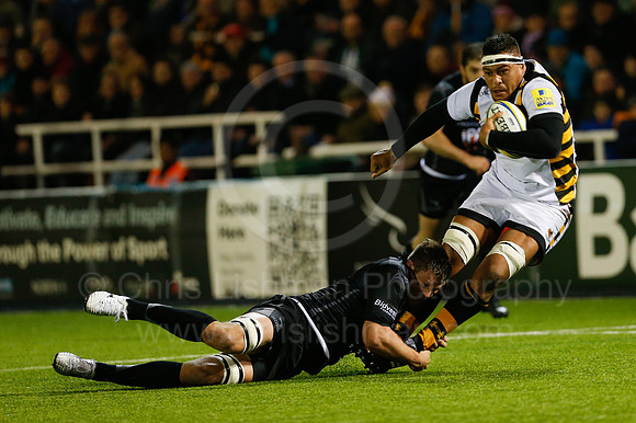 Falcons v Wasps_052_LC_8743