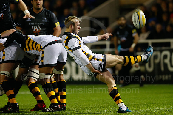 Falcons v Wasps_053_LC_8771