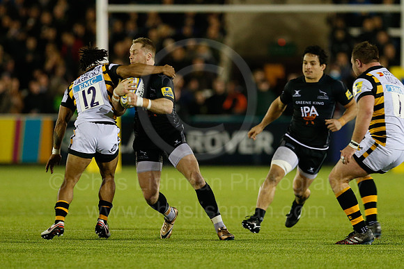 Falcons v Wasps_054_LC_8787