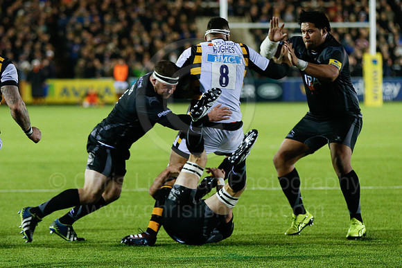 Falcons v Wasps_058_LA_7790