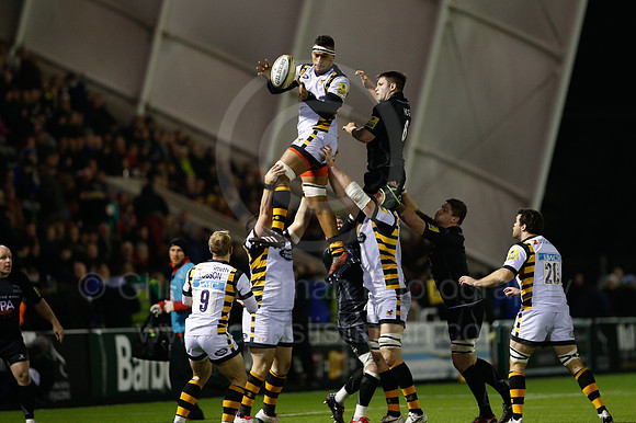 Falcons v Wasps_068_LC_8960