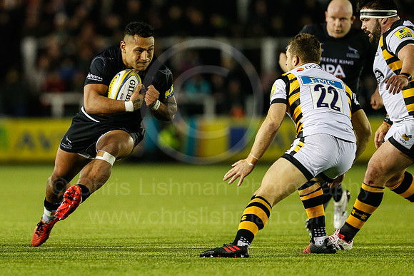 Falcons v Wasps_072_LC_9007