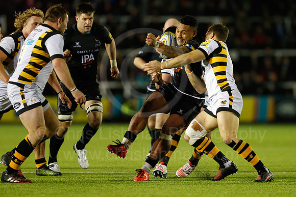 Falcons v Wasps_073_LC_9014