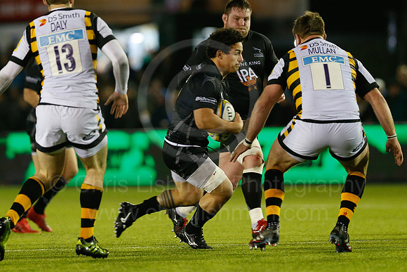 Falcons v Wasps_074_LC_9026