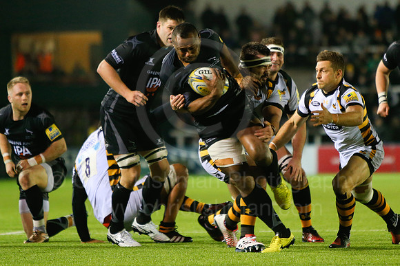 Falcons v Wasps_075_LA_7871