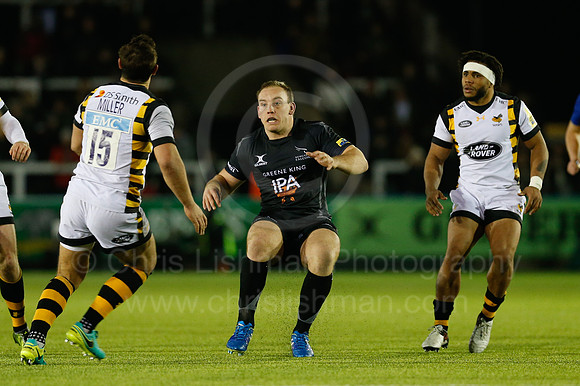 Falcons v Wasps_079_LC_9080