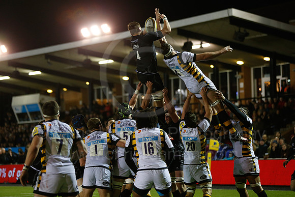 Falcons v Wasps_080_LA_7958