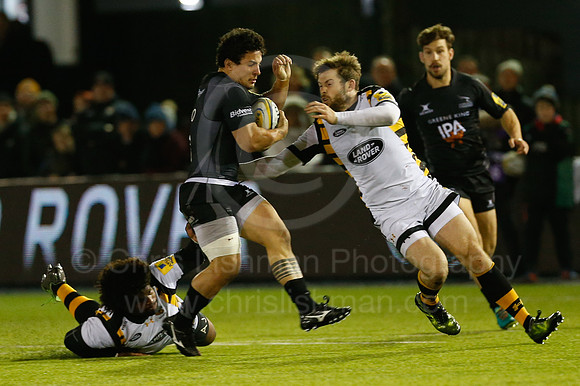 Falcons v Wasps_083_LC_9194