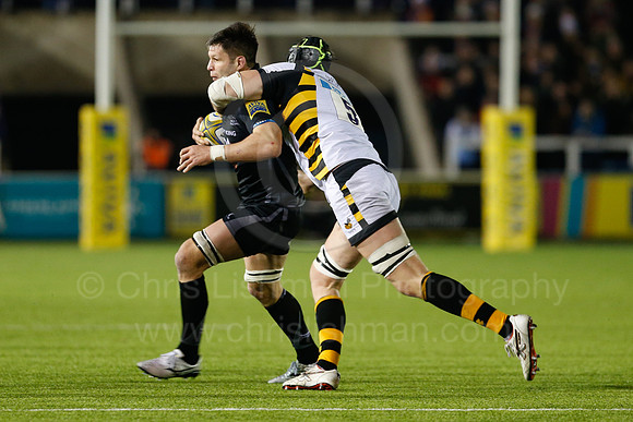 Falcons v Wasps_084_LC_9221