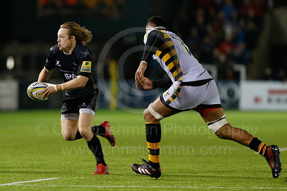 Falcons v Wasps_085_LC_9233