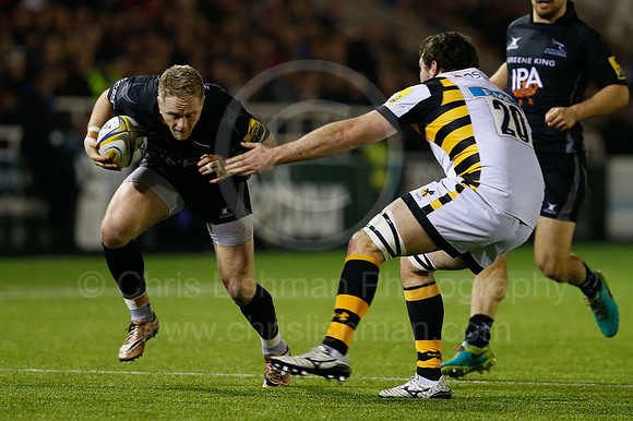 Falcons v Wasps_088_LC_9250