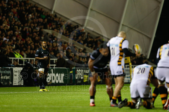Falcons v Wasps_090_LC_9276