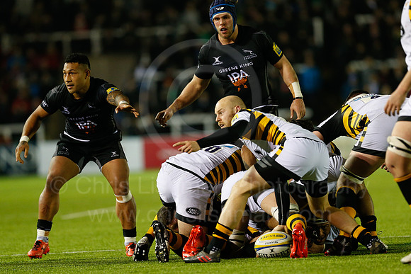 Falcons v Wasps_091_LC_9320