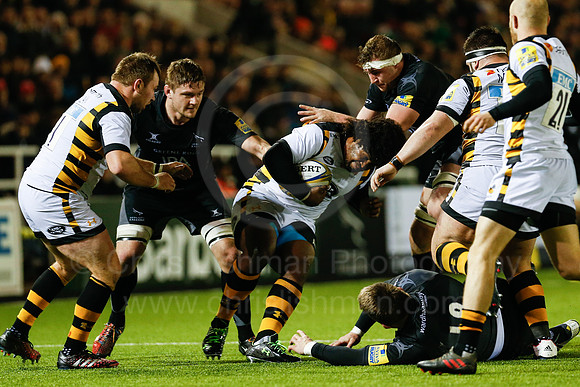 Falcons v Wasps_092_LC_9334