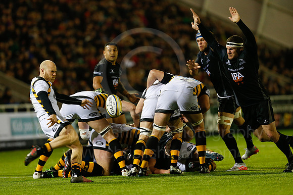 Falcons v Wasps_093_LC_9343