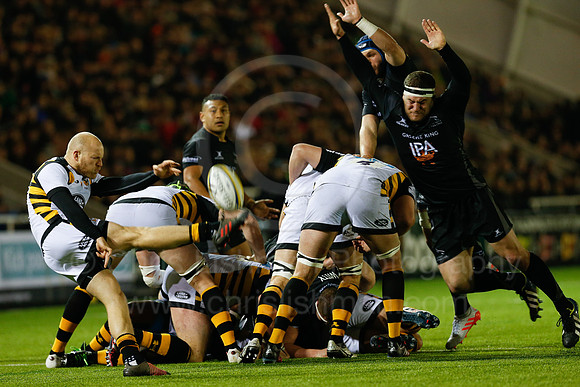 Falcons v Wasps_094_LC_9344