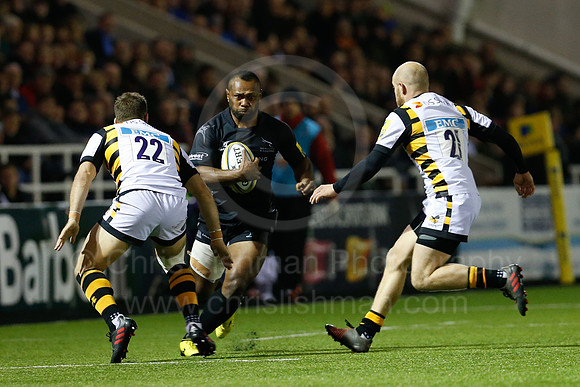 Falcons v Wasps_095_LC_9382