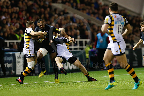Falcons v Wasps_096_LC_9388
