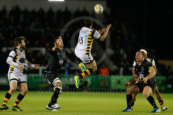 Falcons v Wasps_097_LC_9412
