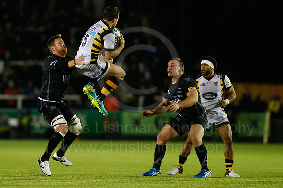 Falcons v Wasps_098_LC_9414