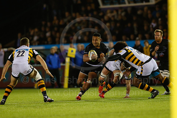 Falcons v Wasps_099_LC_9456