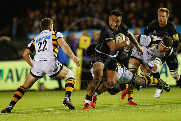 Falcons v Wasps_100_LC_9457