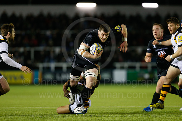 Falcons v Wasps_101_LC_9470