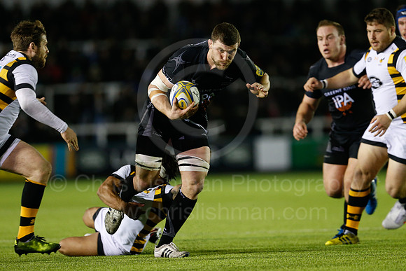 Falcons v Wasps_102_LC_9471