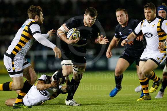 Falcons v Wasps_103_LC_9472