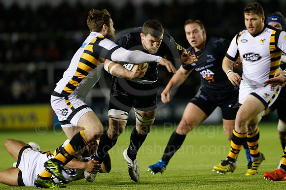 Falcons v Wasps_104_LC_9473