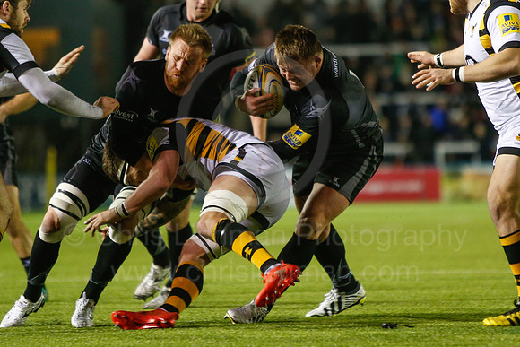 Falcons v Wasps_106_LA_8027