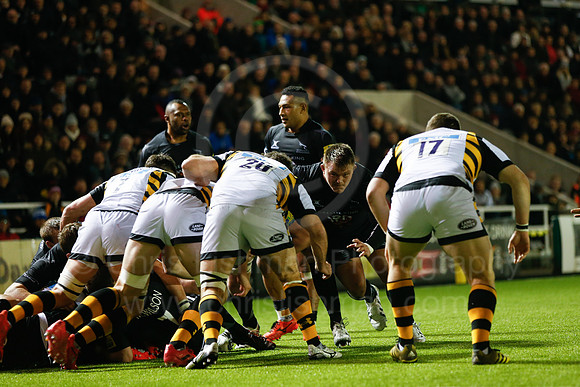 Falcons v Wasps_107_LA_8070