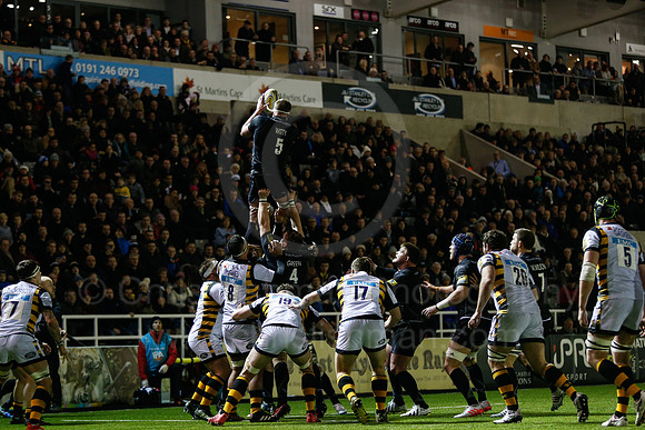 Falcons v Wasps_108_LA_8086