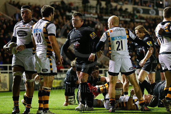 Falcons v Wasps_109_LA_8127