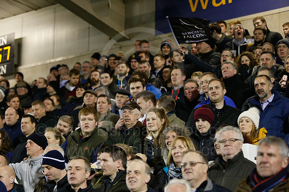 Falcons v Wasps_110_LA_8150