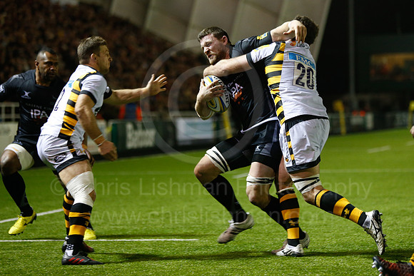 Falcons v Wasps_111_LA_8188
