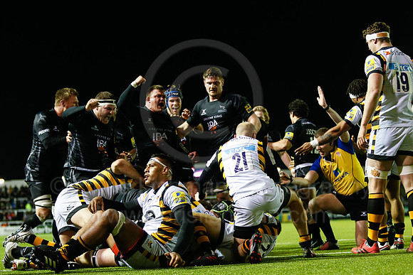 Falcons v Wasps_112_LA_8243