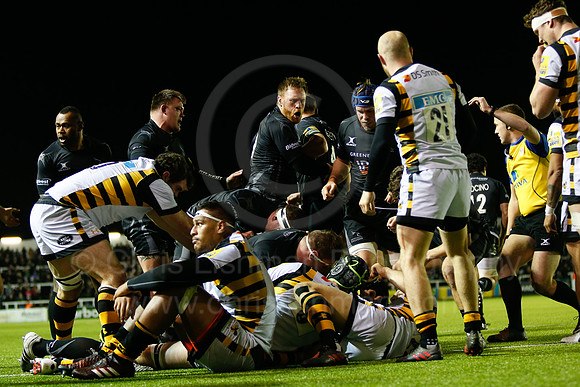 Falcons v Wasps_113_LA_8258