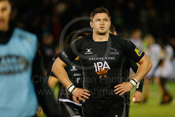 Falcons v Wasps_116_LC_9663