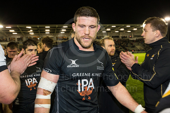 Falcons v Wasps_118_LB_7507