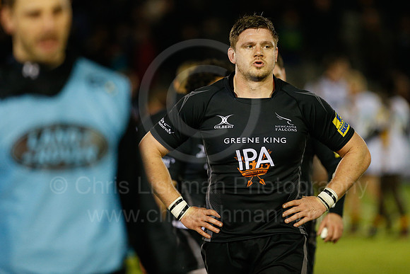 Falcons v Wasps_117_LC_9665